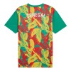 Camiseta de fútbol Senegal Pre-Match 2024-25